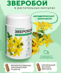 Hypericum Powder: Boost Immunity, Memory & Reduce Stress (60 Capsules)