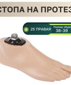 Right Foot Prosthetic Socket, Size 38-39, Part #AS10-C