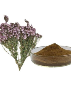 Thyme Extract 30:1 (200g)