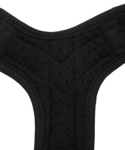 Posture Corrector Belt