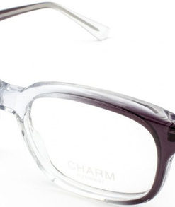 CHARM 3146 Grey Eyeglass Frames