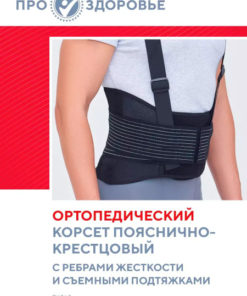 Back Support Brace with Rigid Stays