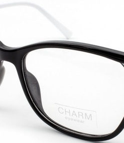 CHARM 595 C1 Eyeglass Frames