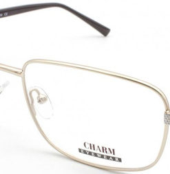 CHARM 684 C1 Eyeglass Frames