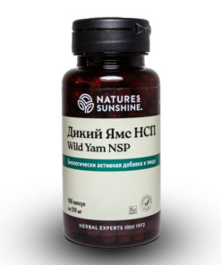 Wild Yam NSP Capsules: 519mg Dietary Supplement