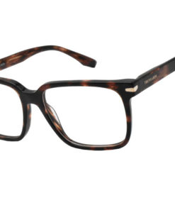 Trussardi TSM 6012 G23 Men's Plastic Eyeglass Frames