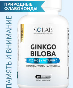 Ginkgo Biloba & Vitamin C: Boost Brain, Memory & Focus (60 Capsules)