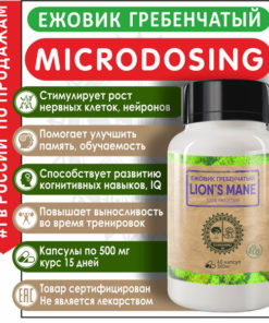 Lion's Mane Mushroom Microdosing: 60 Capsules