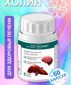 Choline (Vitamin B4): 60 Capsules for Liver & Brain Health
