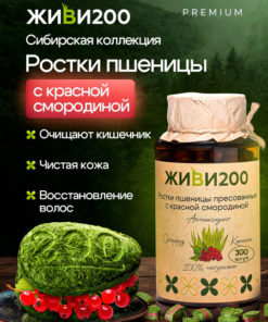 Wheatgrass Tablets with Red Currant - 300 Count