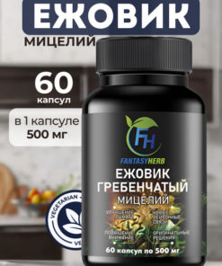Lion's Mane Mushroom Capsules (60 x 500mg)