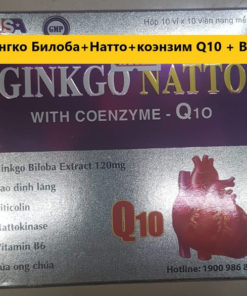 Ginkgo Biloba, Nattokinase & CoQ10 Supplement - 100 Capsules (Vietnam)