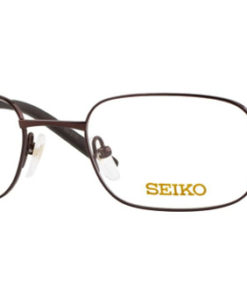 Seiko T9025-007 Titanium Watch Frame