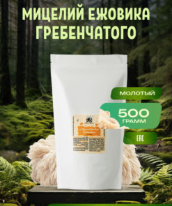 Lion's Mane Mushroom Mycelium Powder - 500g Supplement