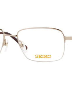 Seiko T9029-002 Titanium Watch Frame