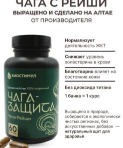 Chaga & Reishi Capsules for Gut Health & Cholesterol Support - 60 Capsules