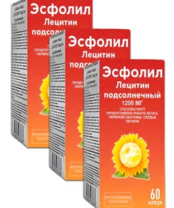 Sunflower Lecithin 60 Capsules:  High Potency, Soy-Free