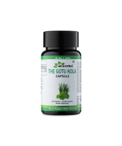 Centella Asiatica Memory Capsules - Alanta 60 x 500mg