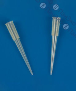 Sterile 200µL Filter Tips, 960/Rack, Beveled