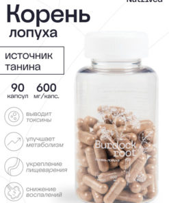 Burdock Root Extract Capsules, 90 Count