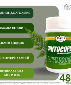 PhytoSorb Tablets: 4-Month Supply (8 Packs of 60, 0.65g Each)