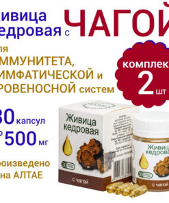 Cedar Resin & Chaga Capsules: 60 x 500mg with Cedar Oil Extract