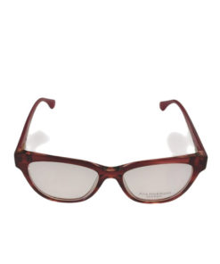 Ana Hickmann Eyeglass Frames