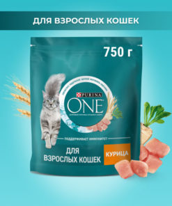 Purina ONE Chicken & Whole Grain Dry Cat Food (750g)