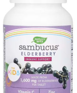 Kids' Immune Support: 40 Elderberry Gummies by Nature's Way
