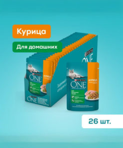 Purina ONE Indoor Cat Food with Chicken & Carrot Sauce (75g x 26)
