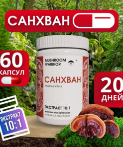 San Hwang 10:1 Extract (60 Capsules): Chemotherapy & Oncology Support - Mushroom Warrior Supplement