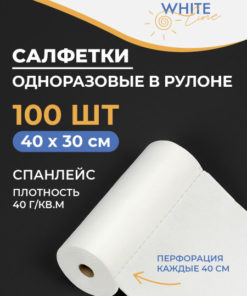 White Line Disposable Paper Towels - Bulk Roll (100, 40x30cm)