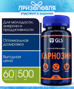 CarnoSyn 500mg: Energy, Youth & Productivity Supplement (60 Capsules)