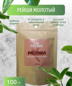 Ground Reishi Mushroom Powder, 100g