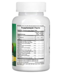 Nature's Plus Animal Parade Tummy Zyme Tropical Fruit Enzyme Supplement - 90 Tablets