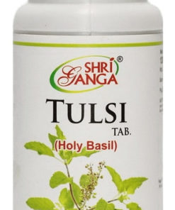 Tulsi (Holy Basil) & Shri Ganga Tablets - 2 Bottles (120 Tablets Each)
