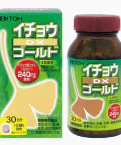 Ginkgo Biloba Extract 240 Tablets (30-Day Supply) - ITOH DX Gold