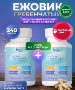 Lion's Mane Mushroom 240 Capsules (500mg)