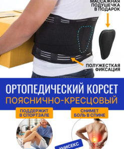 Dignus Lumbar Support Belt: Breathable Back Brace (XXL, 22cm)