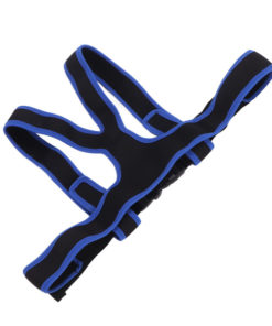 Wheelchair Safety Belt