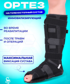 Ankle Support Brace (Large - Sizes 42-44)
