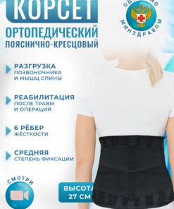 Back Support Brace with 6 Stays - Lumbar Sacral Orthosis, Size 6 (120-140cm Waist)