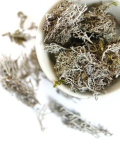 Cladonia Moss (Reindeer Moss) 100g: Dried Herb Tea