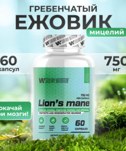Lion's Mane Mushroom Mycelium Capsules - 60 Count