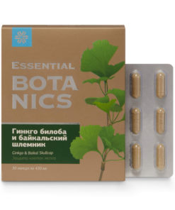 Ginkgo Biloba & Skullcap Memory Support - Essential Botanics (30 Capsules)