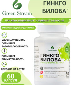 Ginkgo Biloba Extract Capsules: Natural Supplement