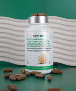 TianShi Cordyceps Militaris Immune Support Capsules (100 x 0.5g)