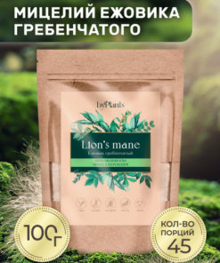 Lion's Mane Mushroom Mycelium Powder (100g) - Natural Nootropic