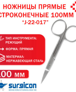 100mm Sharp Pointed Straight Shears (Pakistan) - J-22-017