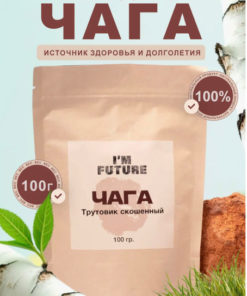 Organic Birch Chaga Mushroom, 100g
